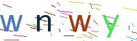Verify Code