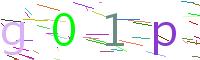 Verify Code