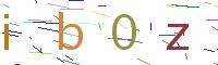 Verify Code
