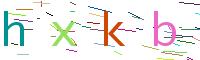 Verify Code