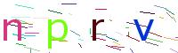Verify Code