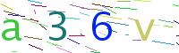 Verify Code