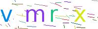 Verify Code