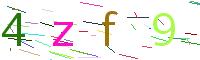 Verify Code