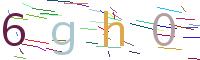 Verify Code