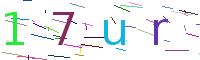 Verify Code