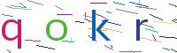Verify Code
