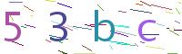 Verify Code