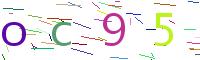Verify Code