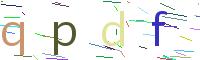 Verify Code