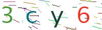 Verify Code