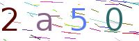 Verify Code