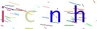 Verify Code