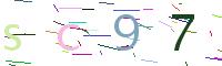 Verify Code