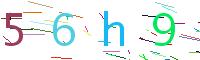 Verify Code